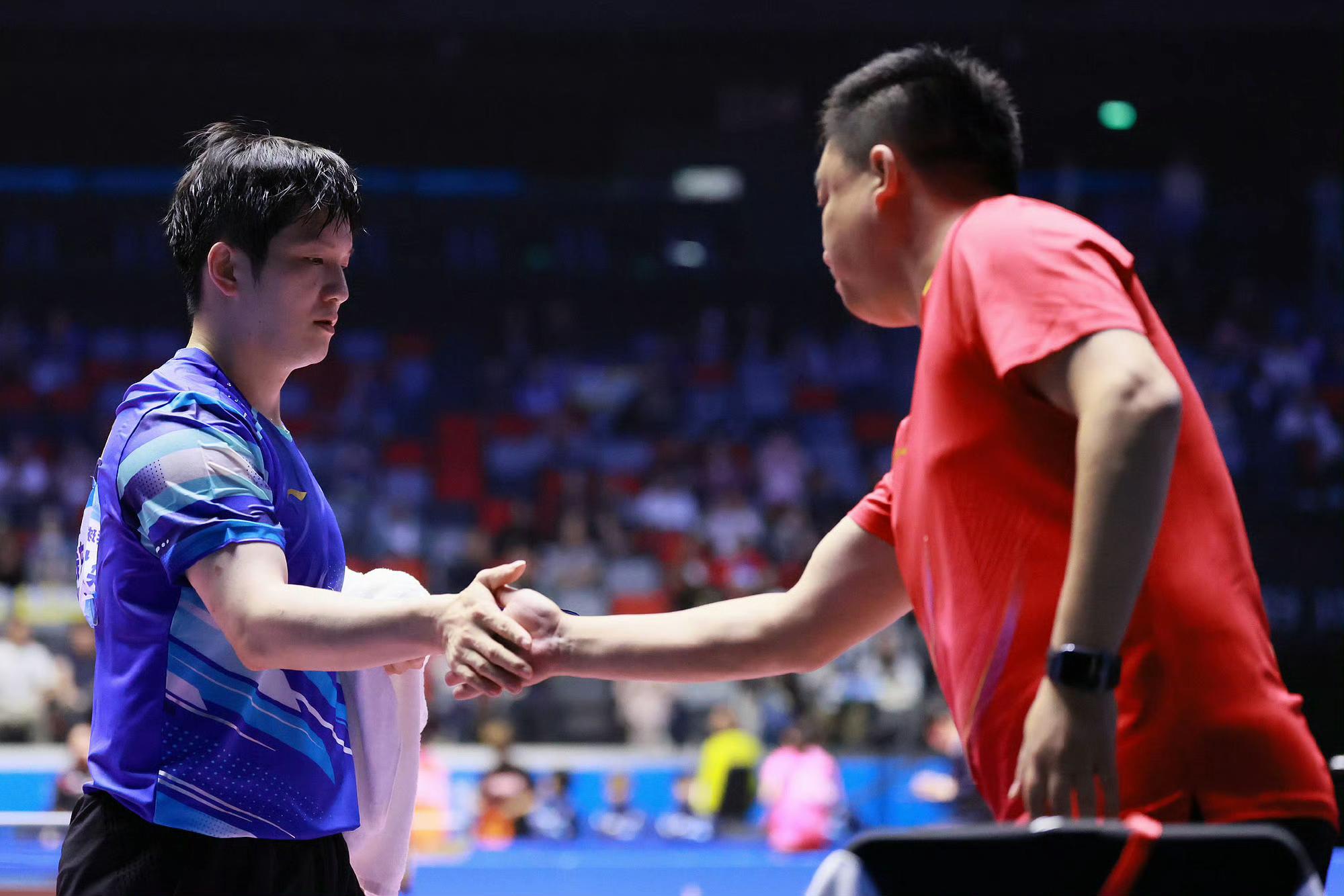 瑞典队完胜英格兰队,樊振东点燃赛场 瑞典队完胜英格兰队,樊振东点燃赛场