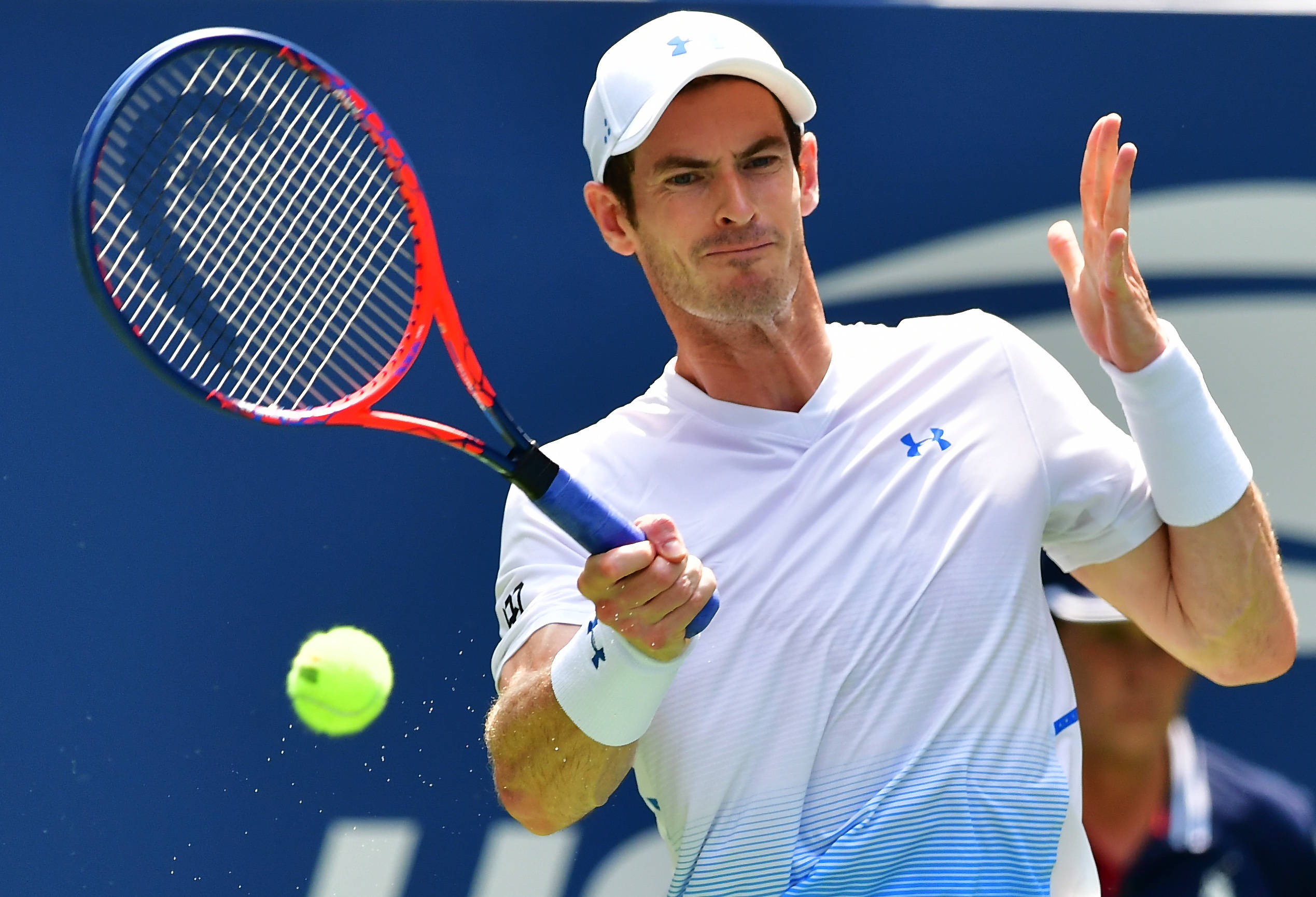 温网完胜美网，穆雷统治全场