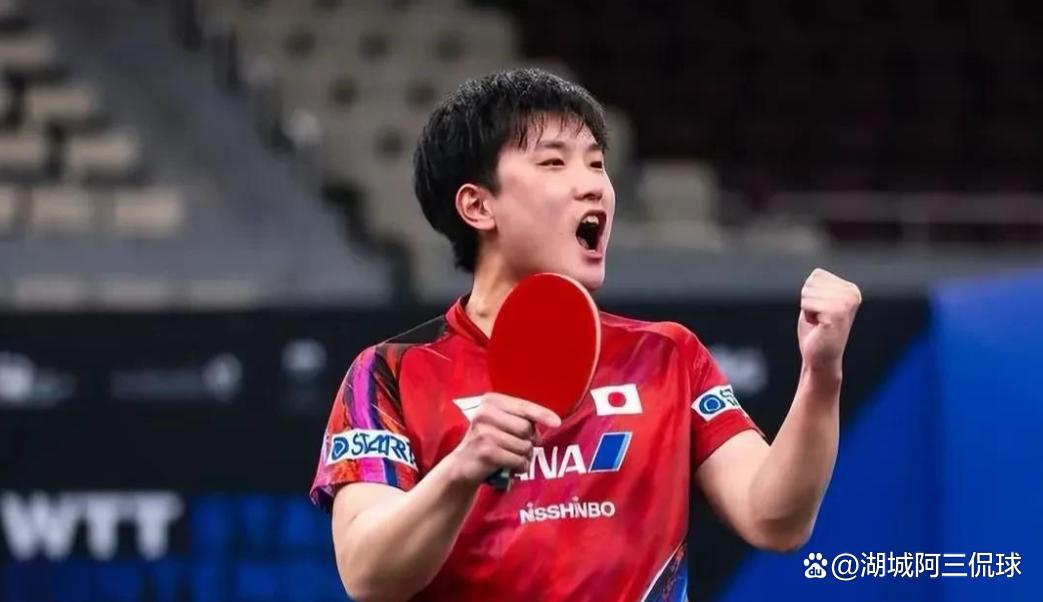 波兰队轻取日本队,张本智和状态火热 波兰队轻取日本队,张本智和状态火热
