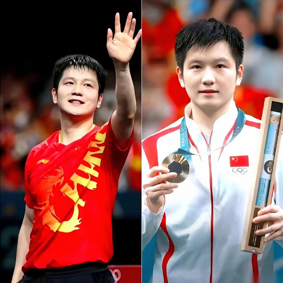 奥地利队逆转波兰队，樊振东高光表现