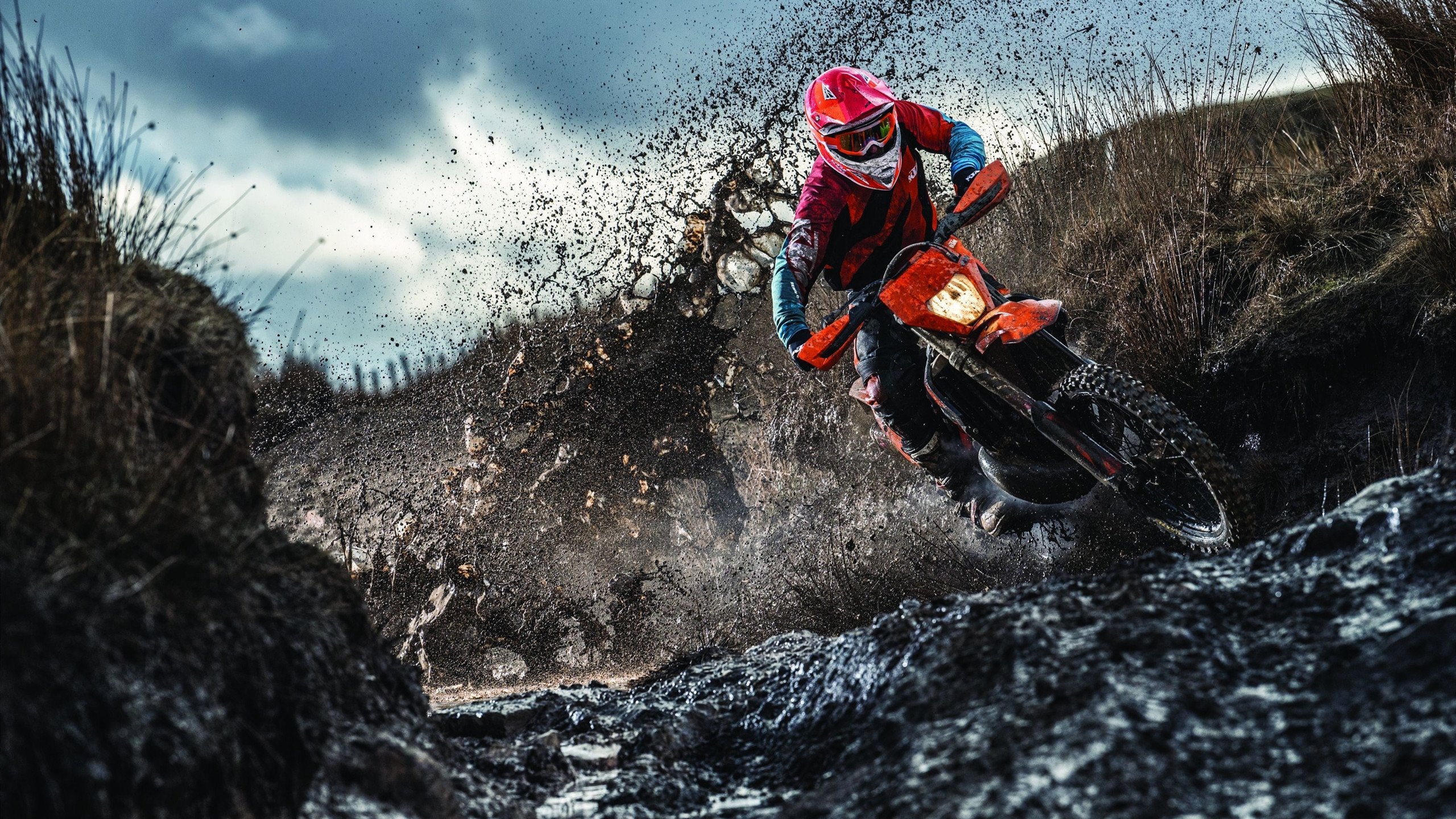 雷速体育直播-猛龙封锁魔术，布伦森奥运前夜接管关键战，一场定义赛季的统治表演